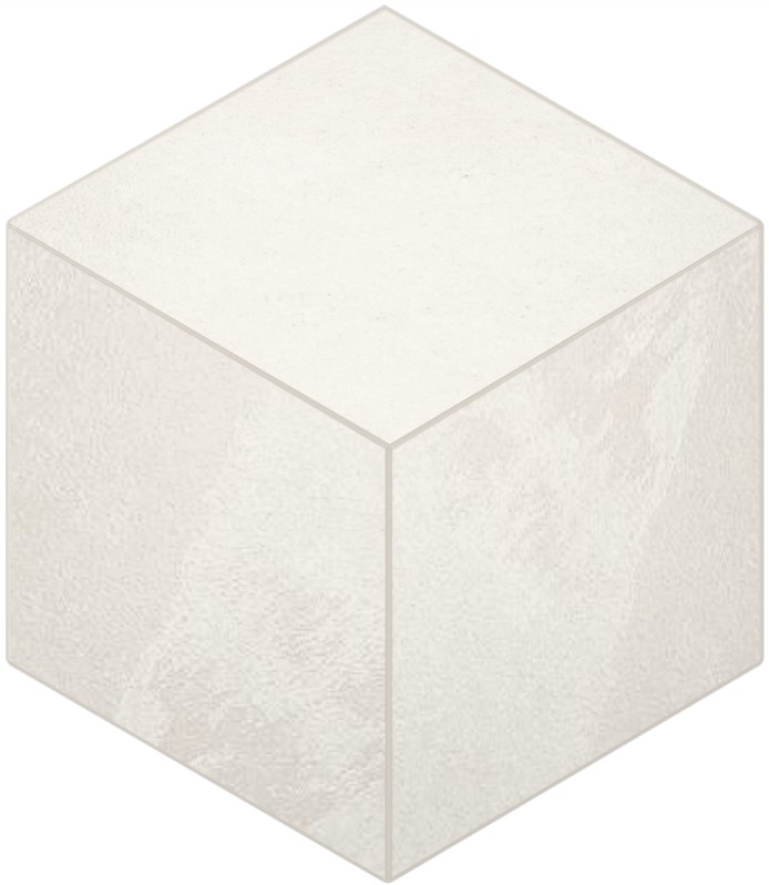 LN00/TE00 Terra White Cube 250x290 неполированный белый мозаика